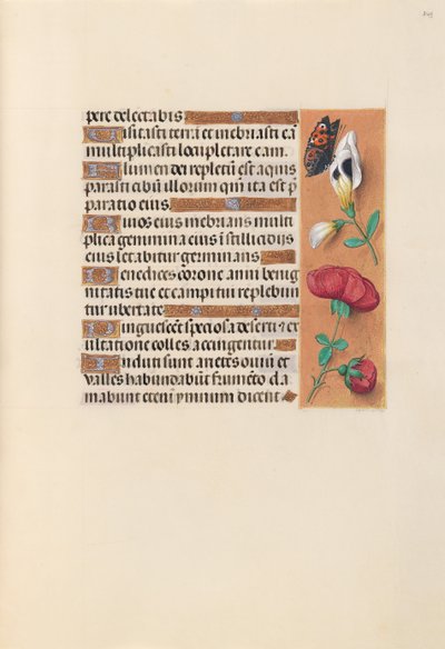 İspanya Kraliçesi Katolik Kraliçe Isabella