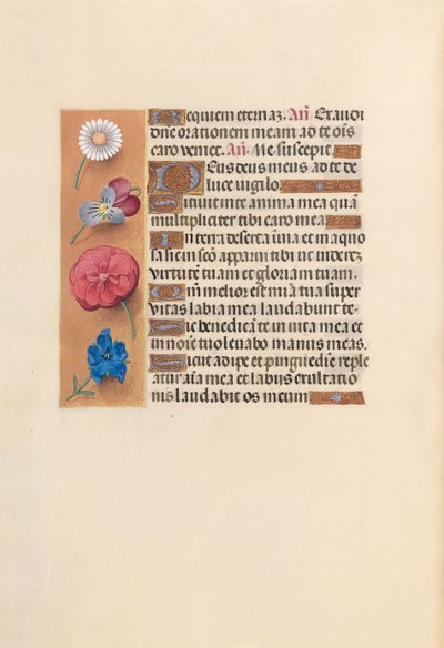 İspanya Kraliçesi Katolik Kraliçe Isabella'nın Saatleri: Fol. 249v, c. 1500. by Master of the First Prayerbook of Maximillian