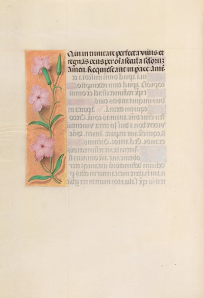İspanya Kraliçesi Katolik Kraliçe Isabella