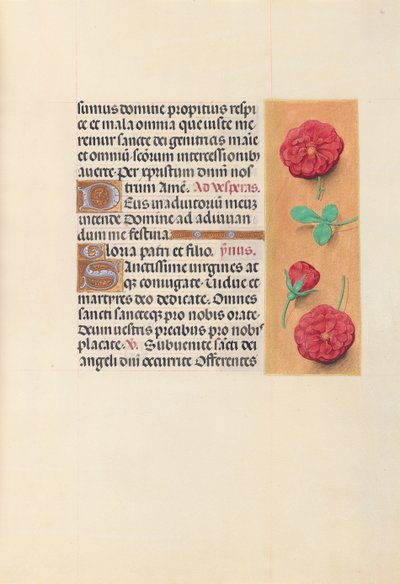 İspanya Kraliçesi Katolik Kraliçe Isabella