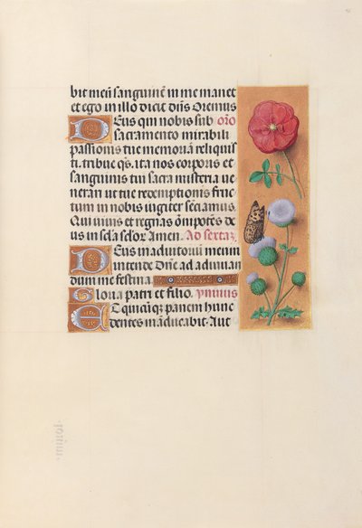  by Master of the First Prayerbook of Maximillian