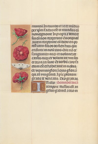  by Master of the First Prayerbook of Maximillian