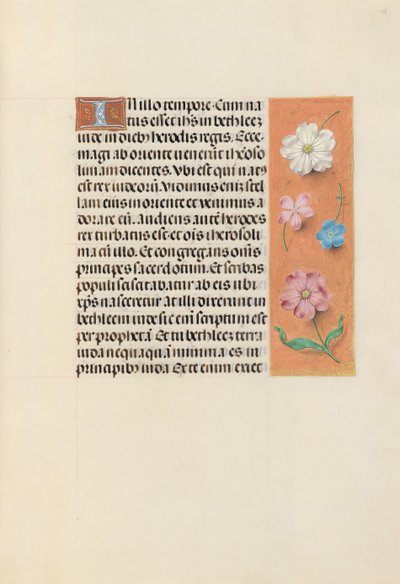 İspanya Kraliçesi Katolik Kraliçe Isabella