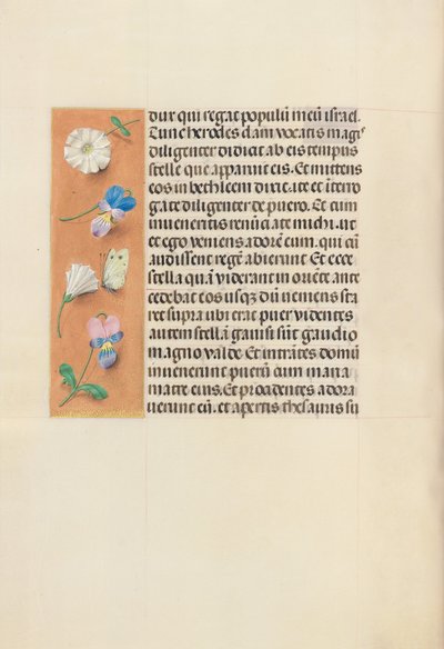  by Master of the First Prayerbook of Maximillian