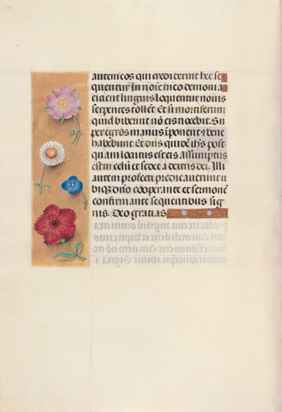 İspanya Kraliçesi Katolik Kraliçe Isabella