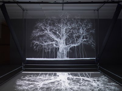  by Mat Collishaw