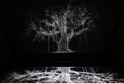  by Mat Collishaw