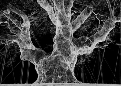  by Mat Collishaw