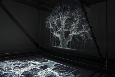  by Mat Collishaw