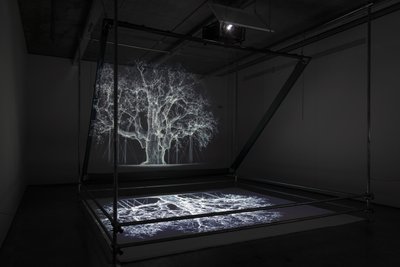  by Mat Collishaw