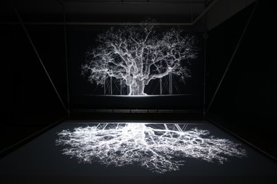  by Mat Collishaw