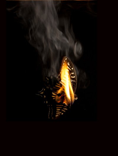  by Mat Collishaw