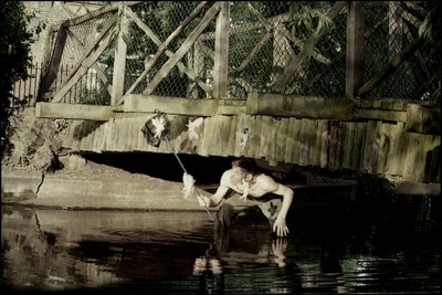  by Mat Collishaw