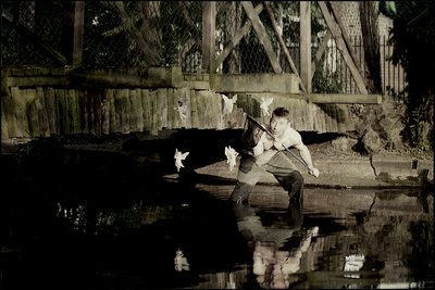  by Mat Collishaw