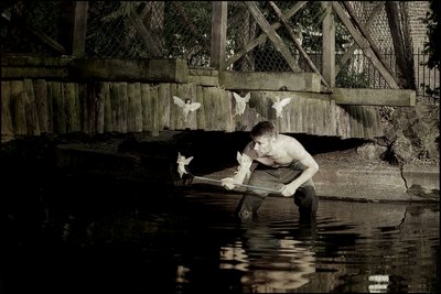  by Mat Collishaw