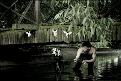  by Mat Collishaw