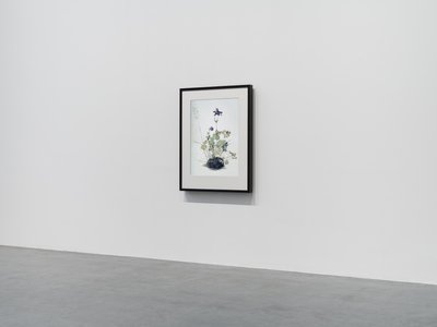 by Mat Collishaw