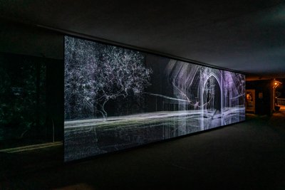  by Mat Collishaw
