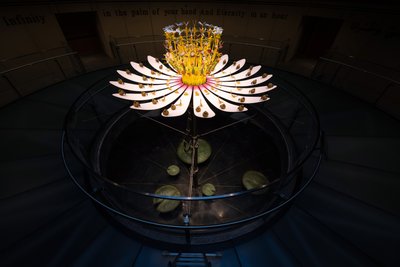  by Mat Collishaw