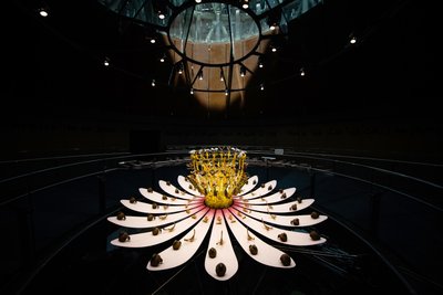  by Mat Collishaw