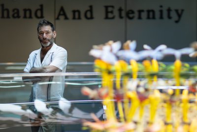 by Mat Collishaw