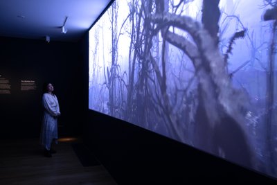  by Mat Collishaw