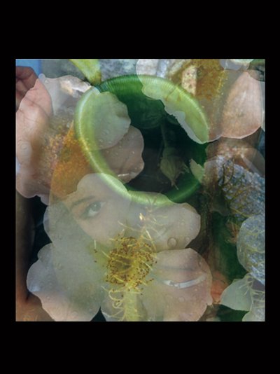  by Mat Collishaw