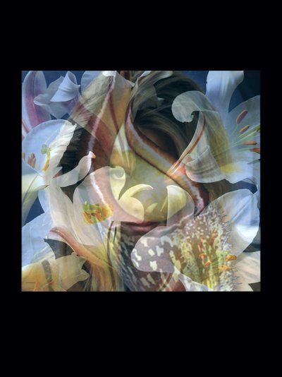  by Mat Collishaw