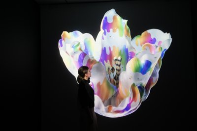  by Mat Collishaw