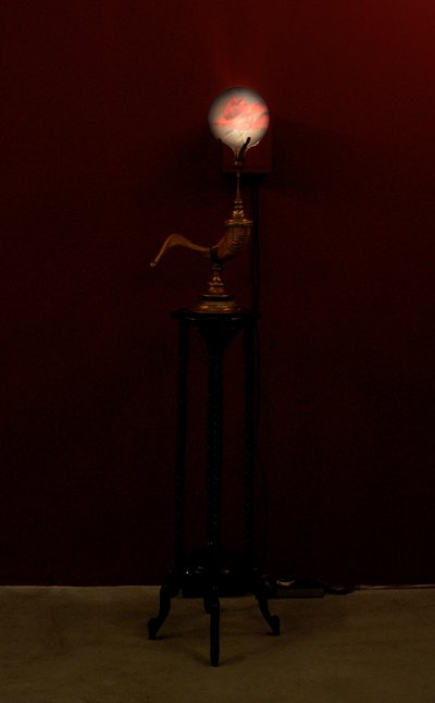  by Mat Collishaw