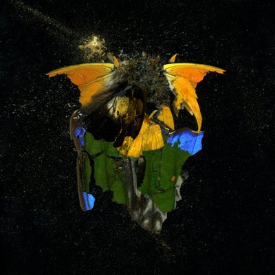  by Mat Collishaw