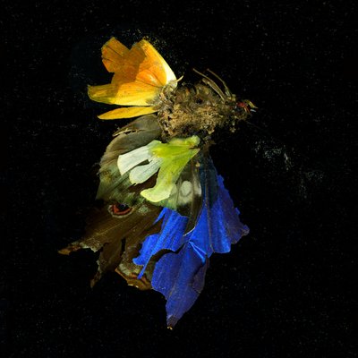 by Mat Collishaw