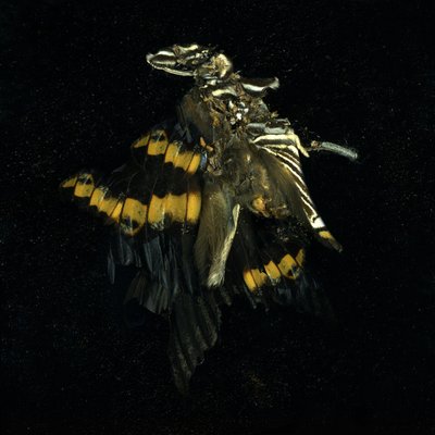  by Mat Collishaw