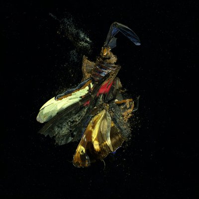  by Mat Collishaw