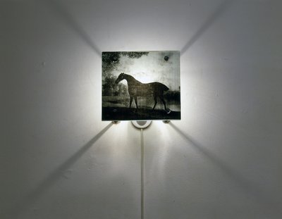  by Mat Collishaw