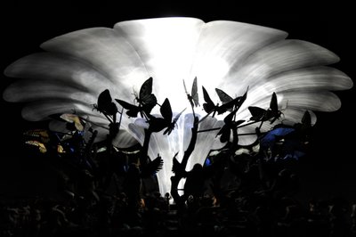  by Mat Collishaw