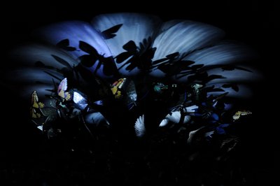  by Mat Collishaw