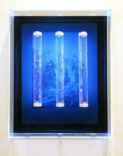  by Mat Collishaw