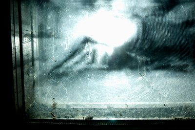  by Mat Collishaw