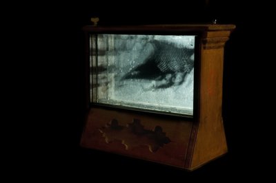  by Mat Collishaw