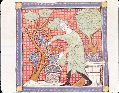 Fol.59r September: The Harvest  by Matfre Ermengaut