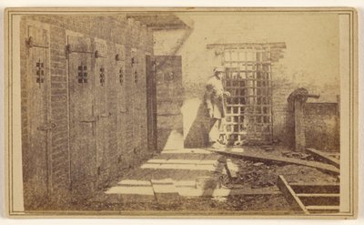  by Mathew B. Brady