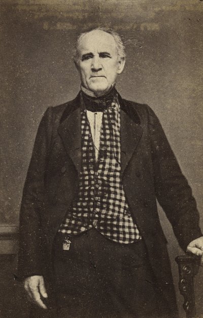 Sam Houston, c.1860-65 (albüm gümüş baskı) by Mathew B. Brady