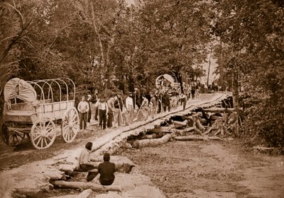 ABD'li mühendisler tarafından inşa edilen Üzüm Asması Köprüsü, 1861-65 by Mathew B. Brady
