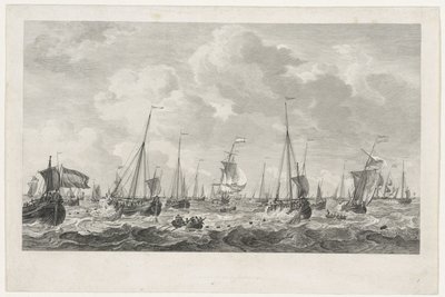 Ringa balıkçılığı, 1781 by Mathias de Sallieth