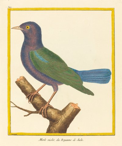 Karatavuk, Yahuda Krallığı