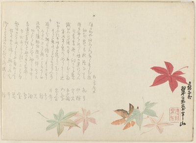 Japon akçaağaç by Matsukawa Hanzan