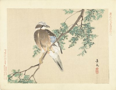 Jay bir dalda by Matsumura Keibun