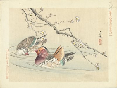 iki ördek Keibun- birinci bölümden Çiçek ve Kuş Eskizleri (seri başlığı) Keibun kacho gafu zen kalemi (nesne üzerinde seri başlığı) by Matsumura Keibun