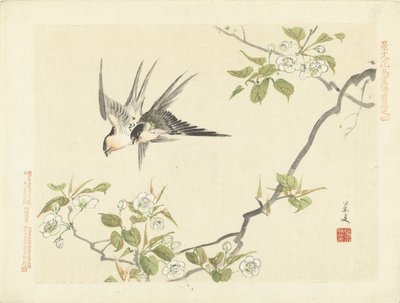 iki kırlangıç Keibun- birinci bölümden Çiçek ve Kuş Eskizleri (seri başlığı) Keibun kacho gafu zen kalemi (nesne üzerinde seri başlığı) by Matsumura Keibun